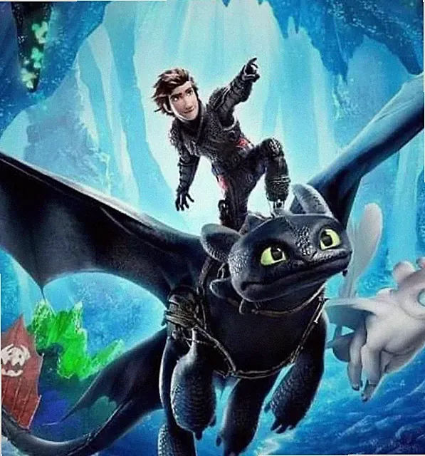 Blanket How to Train Your Dragon Plush Throw Blanket super soft kids /adult