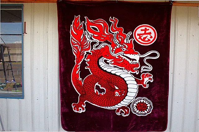 DRAGON FANTASY QUEEN SIZE BLANKET BEDSPREAD