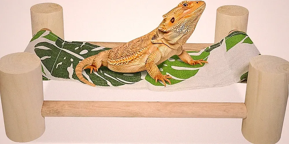 Wooden Bearded Dragon Cloth Bed Reptile Hammock Bearded Dragon Tank Accessories